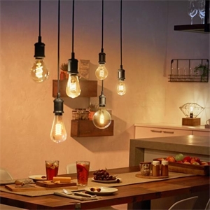 LED Filament Bulbs