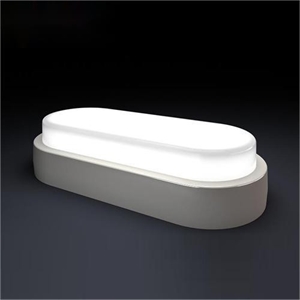 LED Ceiling Light