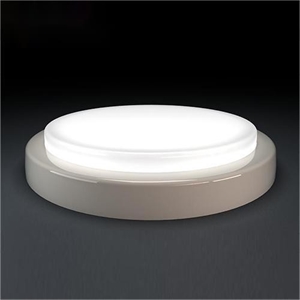 LED Ceiling Light