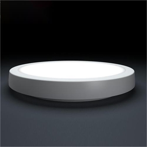 LED Ceiling Light