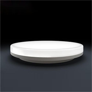 LED Ceiling Light