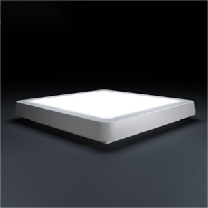 LED Ceiling Light